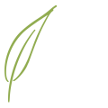 TAZ Services LLC